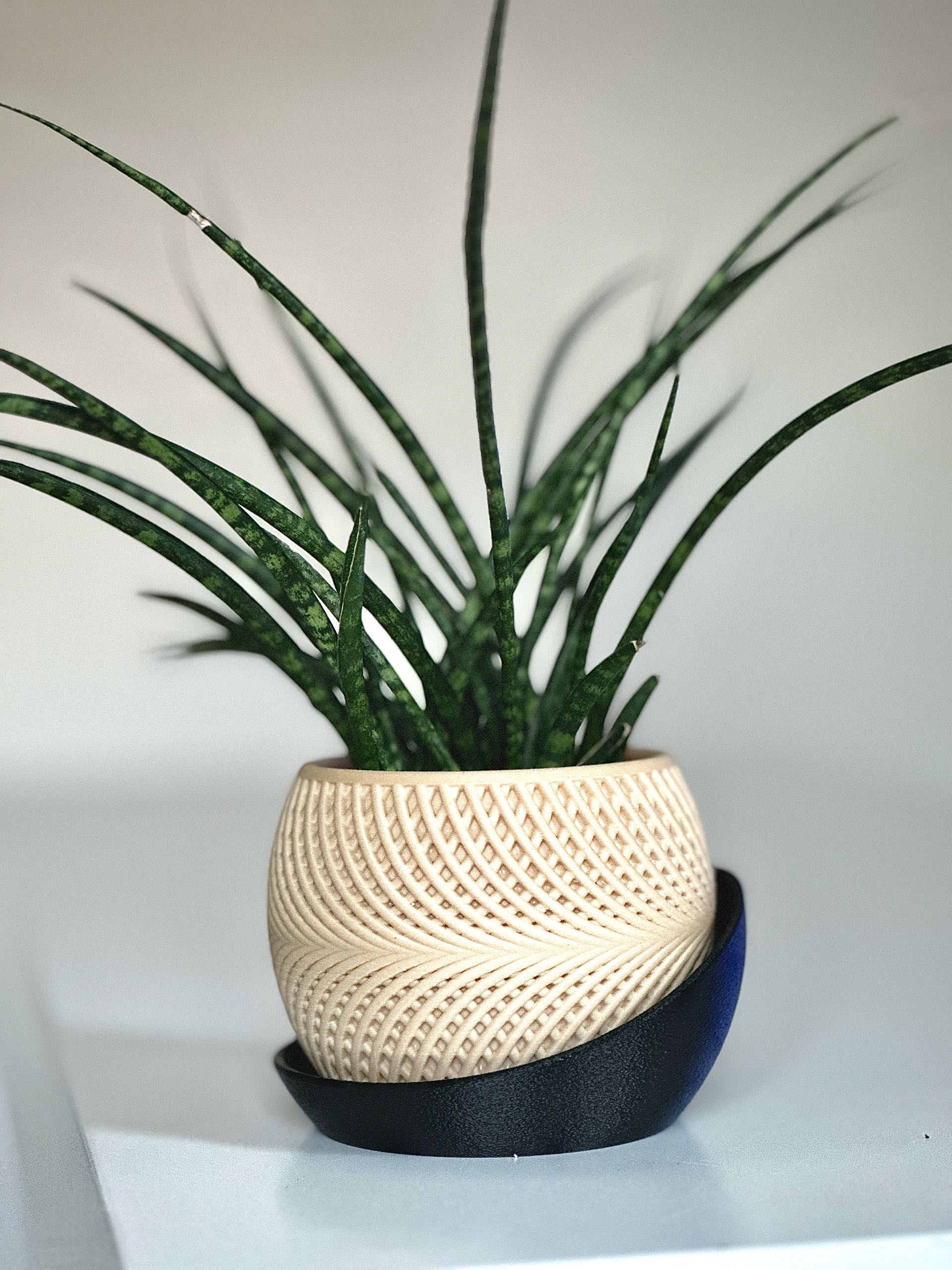 Twiste Planter – Sculptural Designer Pot